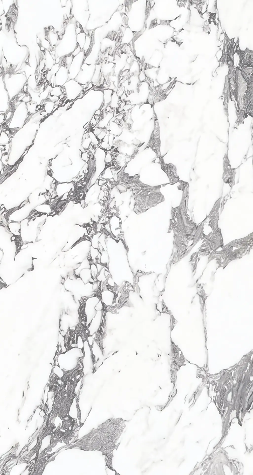 Calacatta Corchia marble slab